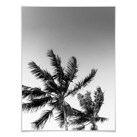 Poster Stormy Palm Trees | wall-art.com