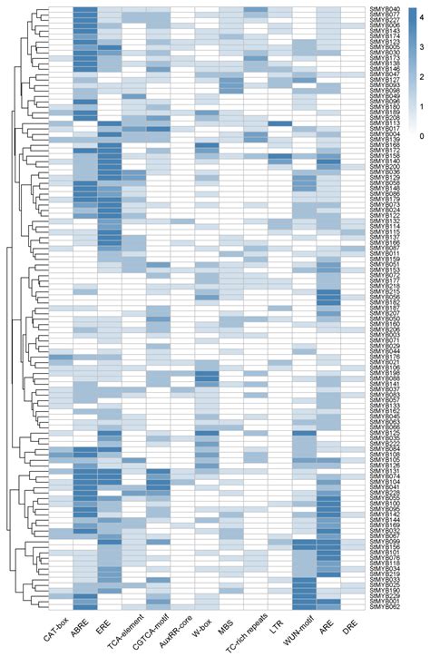 Systematic Analysis of MYB Family Genes in Potato and Their Multiple ...