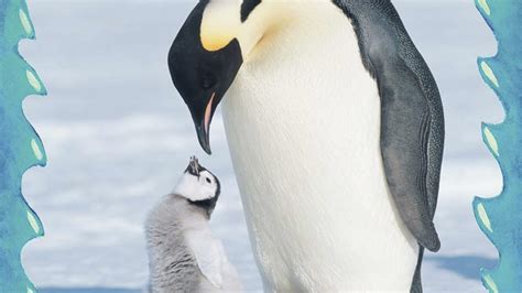 Image result for Math Addition Activities