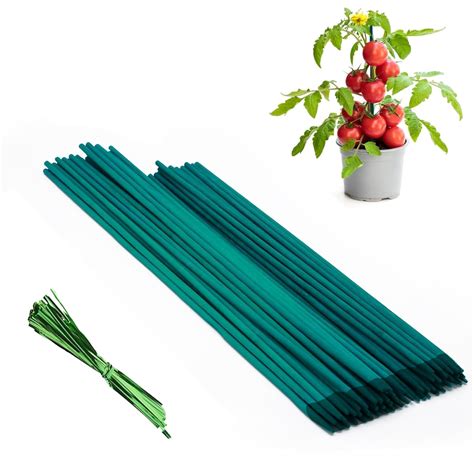 BLOOMAX® Hardwood Plant Support Sticks, Lengths-3 ft/10mm, Pack of-60 ...