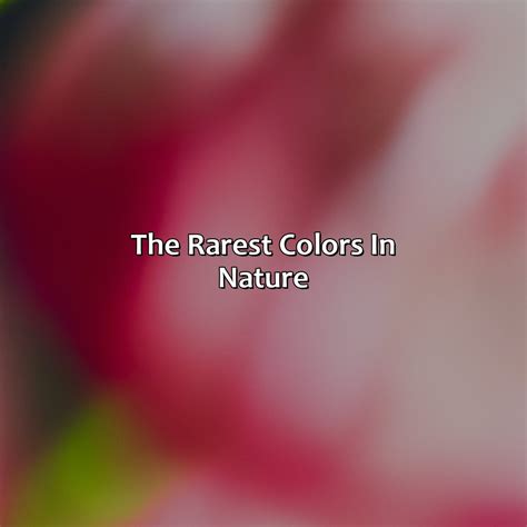What Is The Rarest Color In Nature - colorscombo.com