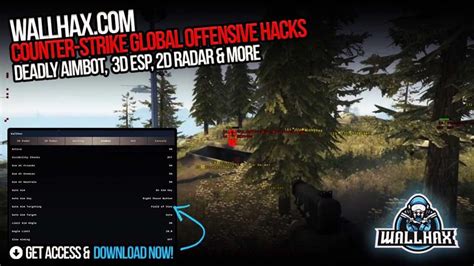 Image result for Counter-Strike Hacks