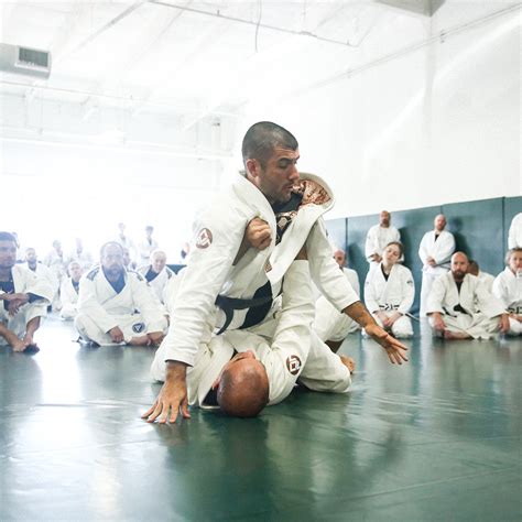 Jiu Jitsu Moves List