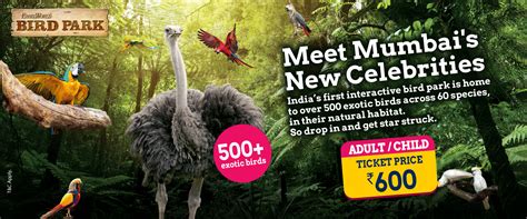 FAQs | Water Kingdom