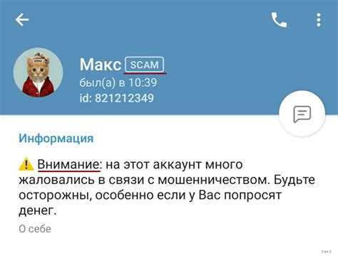 Что значит метка СКАМ (SCAM) в Телеграмм, за что дают, как удалить