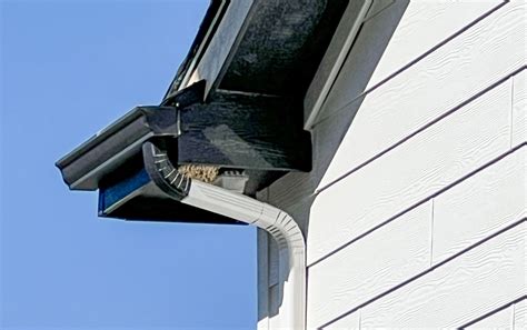 Gutter Cost to Install Seamless Gutters in South Africa | Easy Flow Gutters