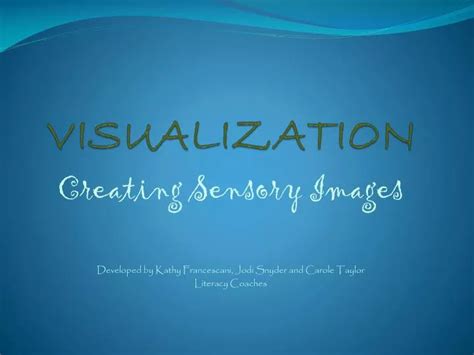Example Presentation of Visualization 的图像结果