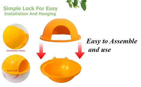 Jainsons Pet Products Small Bird Breeding Nest Box | Comfortable Wooden ...