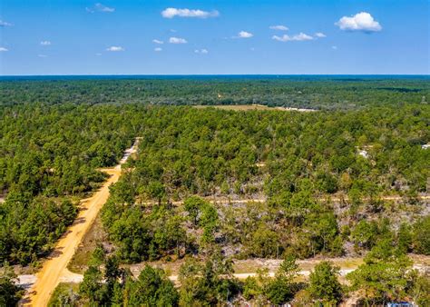 Undeveloped Land 的图像结果