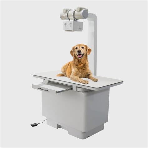 25kw 30kw 50kw Vet Medical Digital Radiography Veterinary X-ray Machines - China Veterinary ...