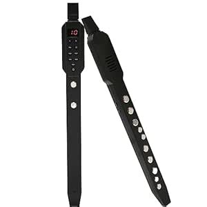 Rechargeable Electronic Wind Instrument Universal, 10 Types of ...