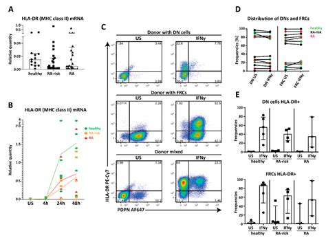 Human Lymph Node Stromal Cells Have the Machinery to Regulate ...