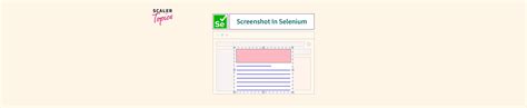 Image result for Java Selenium Screen Shot