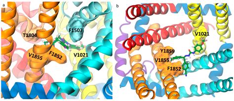 Toward Overcoming Pyrethroid Resistance in Mosquito Control: The Role ...