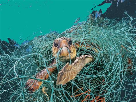 Using enzymes to biodegrade plastics | Meer