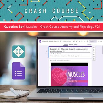Crash Course Muscles 的图像结果