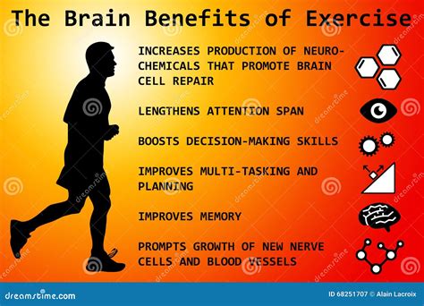 Exercise benefits stock illustration. Illustration of fitness - 68251707