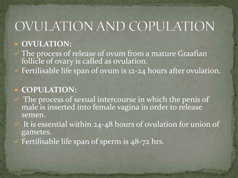 Conception Process Step by Step 的图像结果