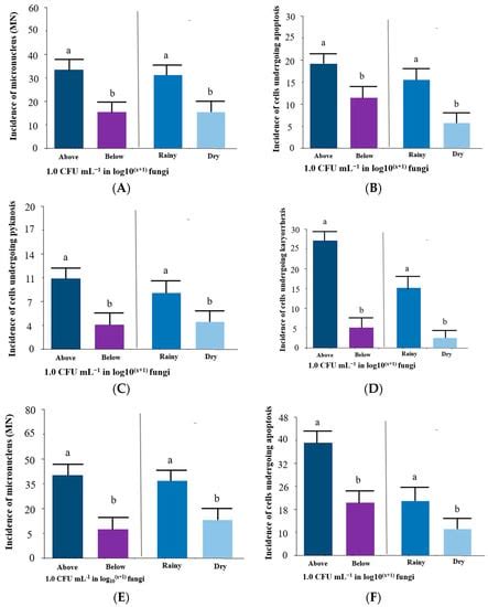 Monitoring of Mycotoxigenic Fungi in Fish Farm Water and Fumonisins in ...