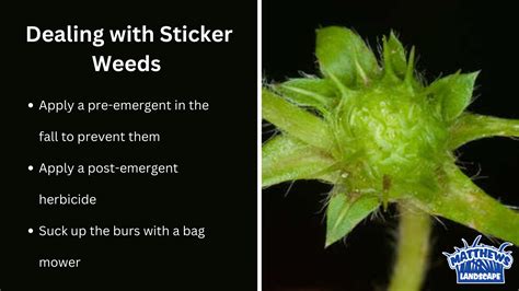 Image result for Backpack String Compression