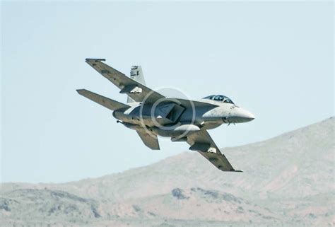 Image result for Digex Services