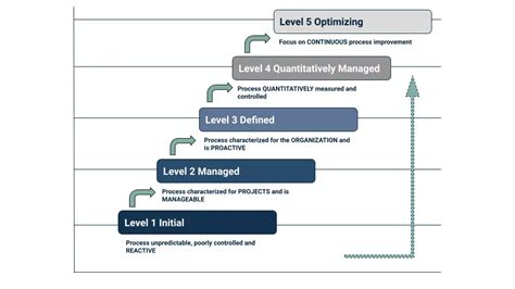 Data Management Maturity Assessment 的图像结果