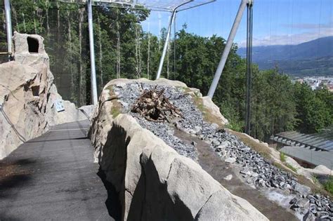 ZooLex Image - Stream course