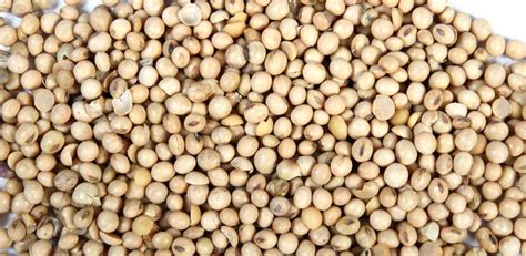 Agro Uranga SA de Argentina - ppfam.com