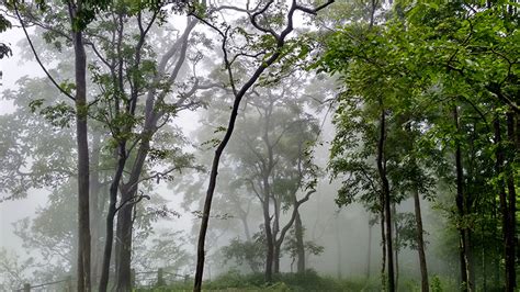 Thrilling Monsoon Escapades Awaiting You In Ooty | The Littlearth Group ...