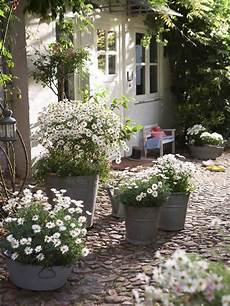 White Cottage Gardens by White Cottage On White Gardens Cottages And White Cottage Gardens