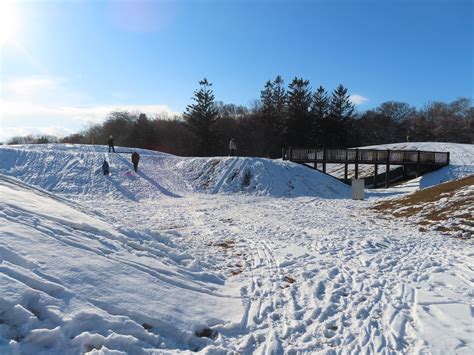 25/1/2 帯広の公園内の池で一部のカモたちが越冬しています～ビックリ !: 夕焼け爺の気ままな日記