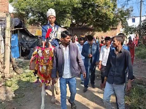 Dalit Groom Rides Horse, Carries Constitution to Temple | Madhya ...