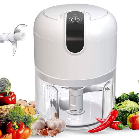 SHREYAGN Electric Garlic Chopper,250 Ml Mini Food Chopper,Garlic Masher ...