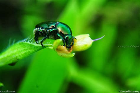 A Macro Ride to Kas Plateau