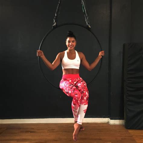 Image result for Aerial Hoop Workout