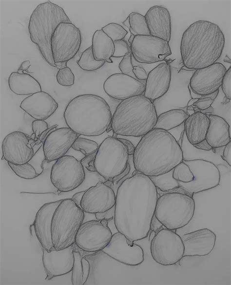 Image result for Distributed Picture for Draw