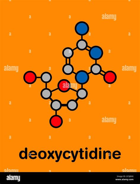 Deoxycytidine (dC) nucleoside molecule. DNA building block. Stylized ...