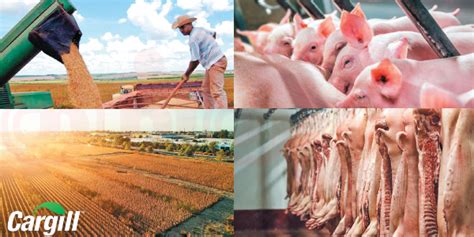 Family Tree-Cargill உலகிலேயே அதிக பில்லியனர்களைக் கொண்ட முதல் குடும்பம் ...