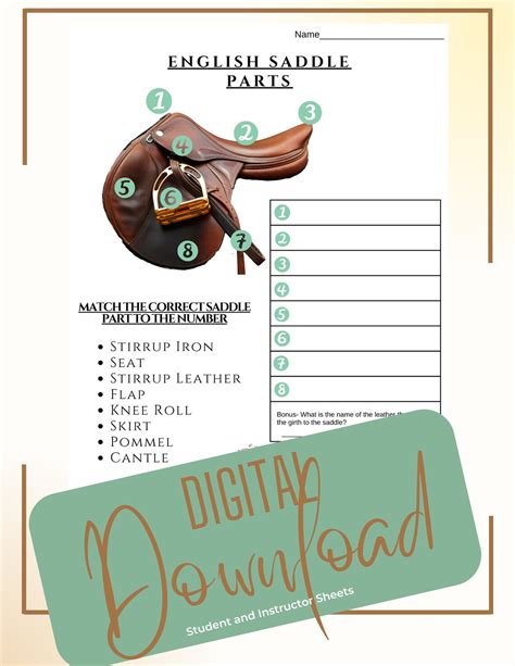 Printable Horse Camp/lessons Western and English Saddle Parts ...