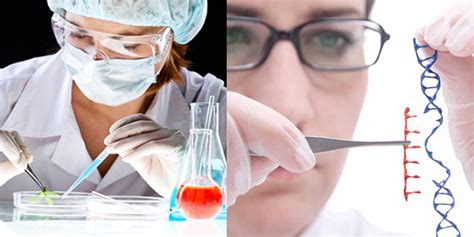 Biotechnology Engineering 的图像结果