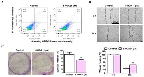 2D Nanomaterial, Ti3C2 MXene-Based Sensor to Guide Lung Cancer Therapy ...