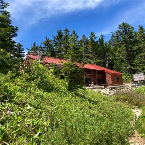Image result for Arrow Pattern in Python