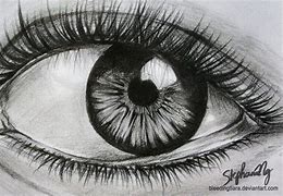 how to draw a quetzal bird