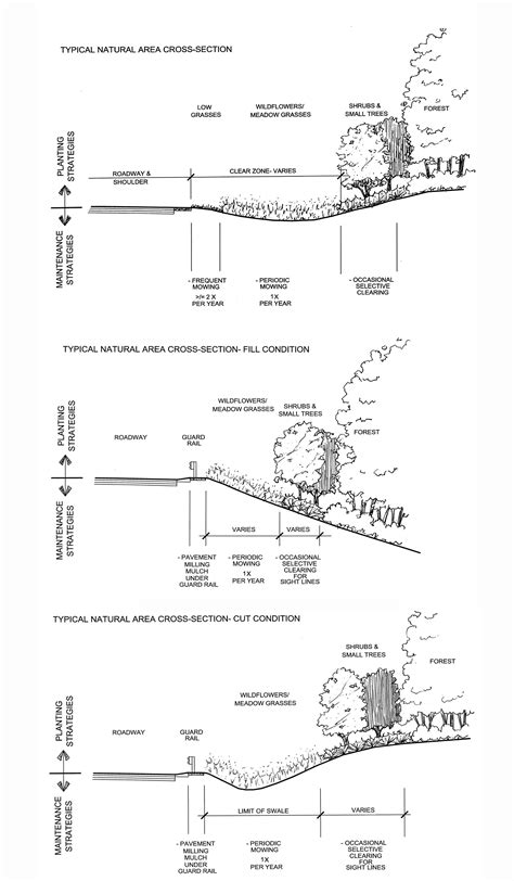 PDDG Chapter 13 - Landscape Design | Mass.gov