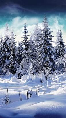 Iphone Winter Wallpaper by 25 Winter Iphone Wallpapers Iphone Winter Wallpaper