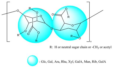 A Review on the Extraction, Bioactivity, and Application of Tea ...