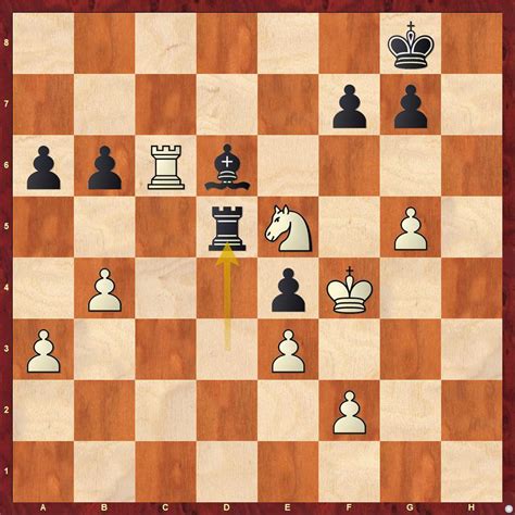 Football, Cricket and Chess - Magnus impresses one and all at the day 2 ...