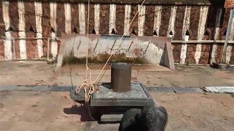 Ropes of the tent tied to Shivlinga: తూర్పుగోదావరి జిల్లాలో అపచారం ...