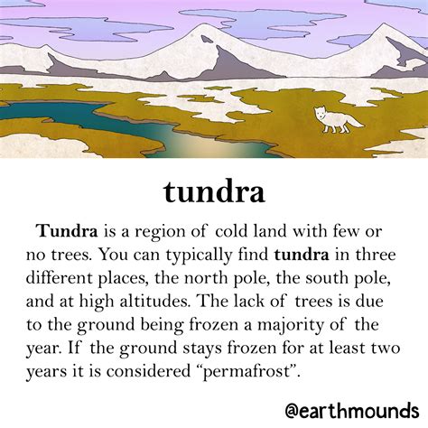 Arctic Tundra, Antarctic Tundra, and Alpine Tundra! Fun! #earthmounds # ...