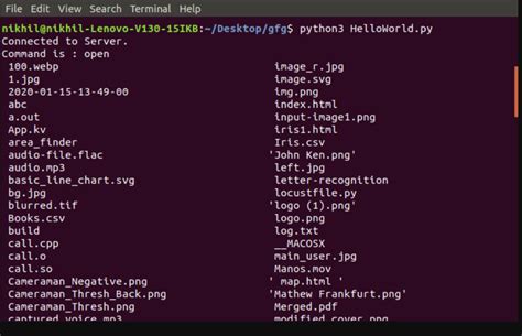 Python System 的图像结果